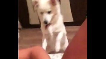play Analna masturbacja XNXX z uczniem z Iasi